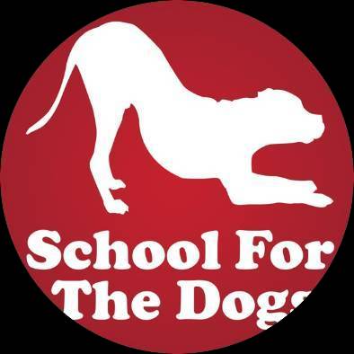 SFTD LLC aka School For The Dogs Image