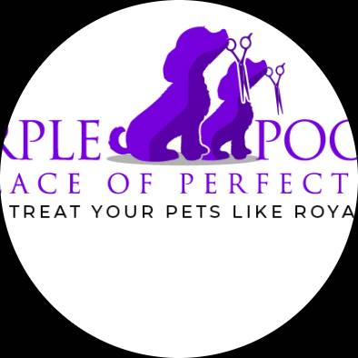 PURPLE POOCH PALACE OF PERFECTION Image