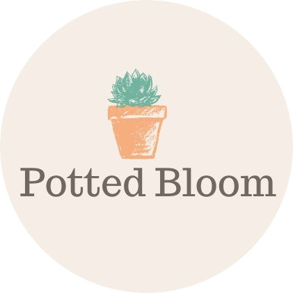 Potted Bloom Image